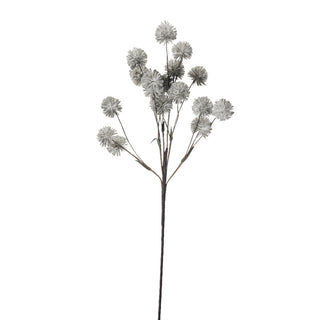 Happia skumblomst 90 cm. grå