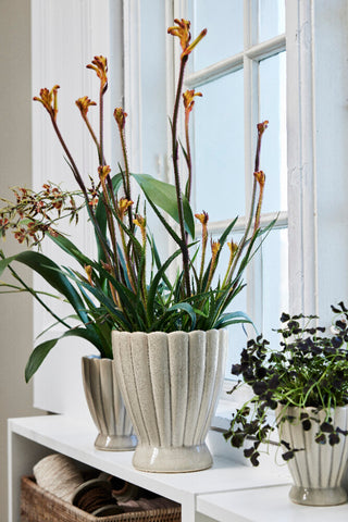 Shenella urtepotteskjuler H18 cm. sand