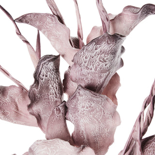 Happia skumblomst 90 cm. lilla