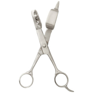 Dana silver scissors