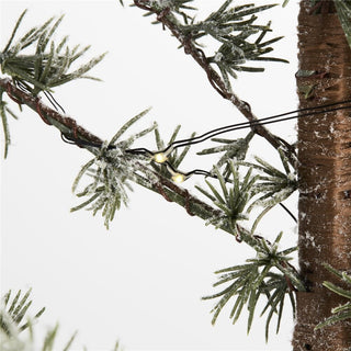 Pinea H60 cm. grønn